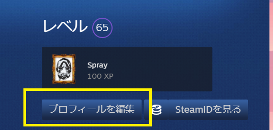 Steamポイントの使い方と使い道を分かりやすく解説 Steamおすすめサマリー